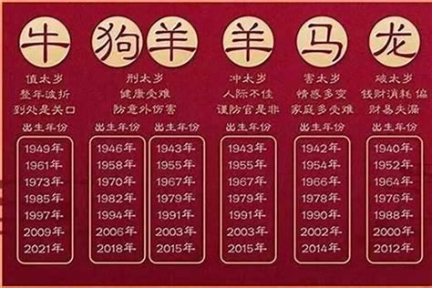 2025年 生肖|2025年属什么生肖 2025年的生肖是什么